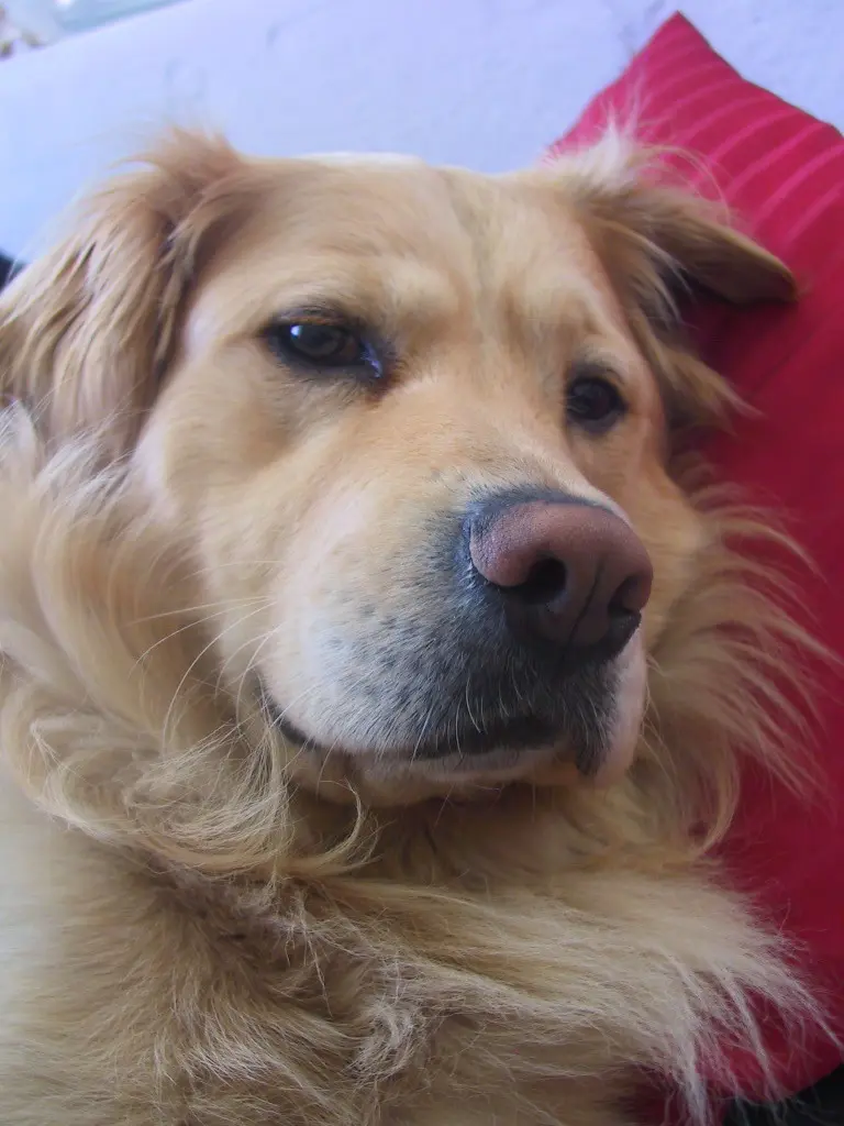 Image from Samy