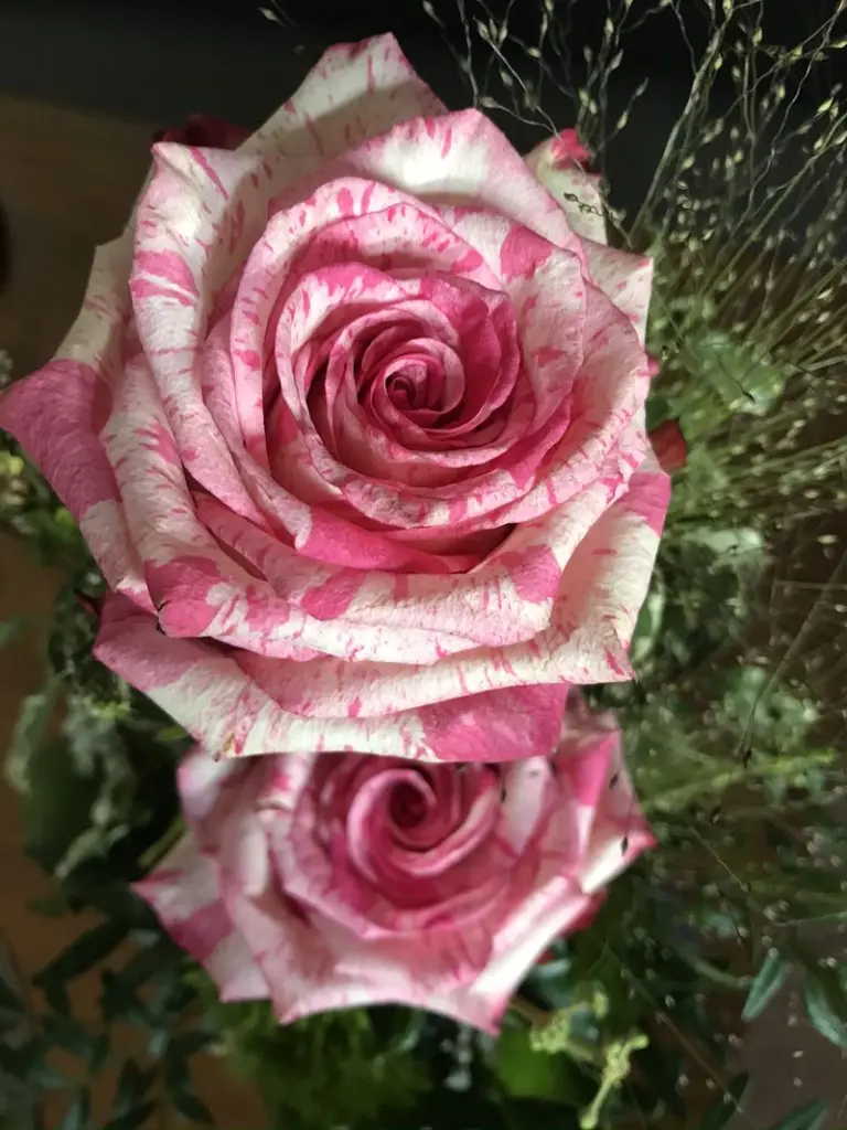 Condolence image of Doreen