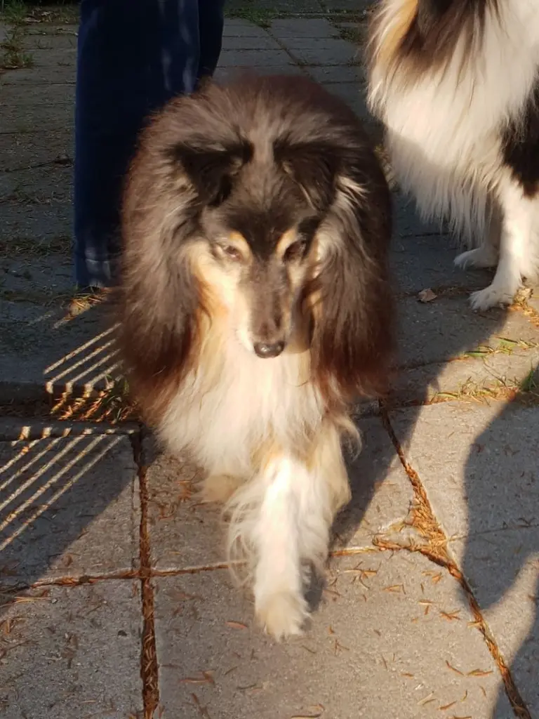 Andachtsbild von Barbara Weilenmann