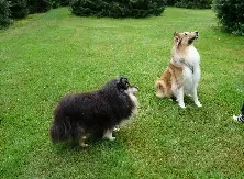 Andachtsbild von Frauke und Rüdiger