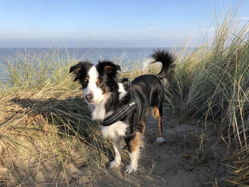 Image from Cathy