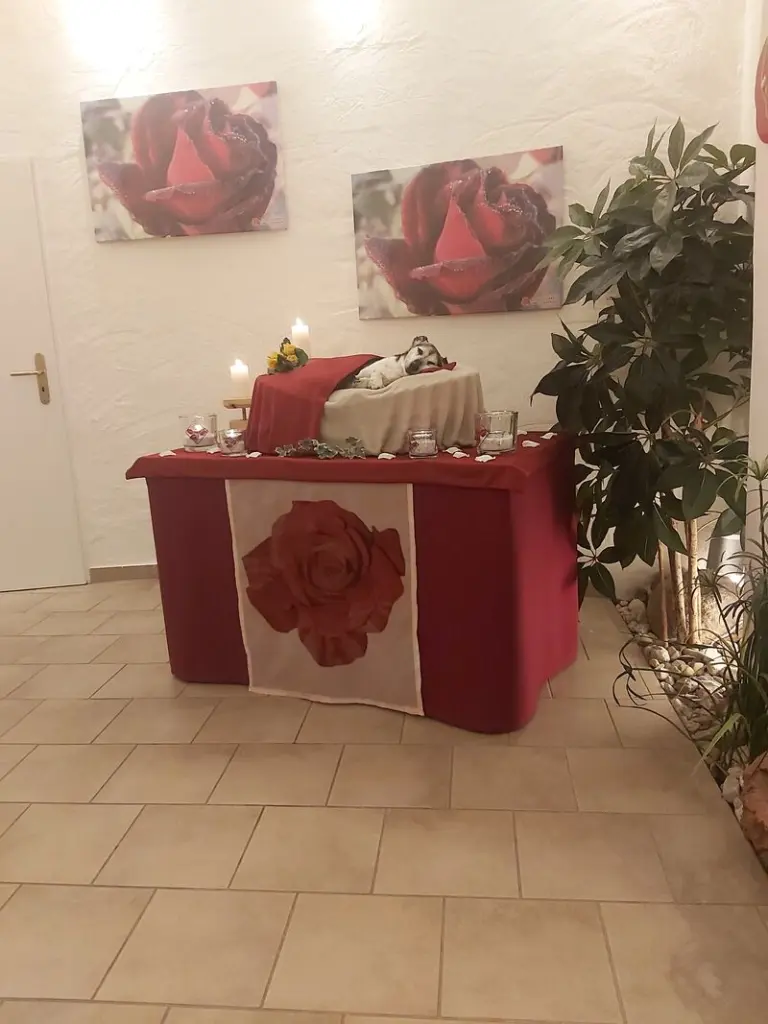 Condolence image of Judith mit Mailo