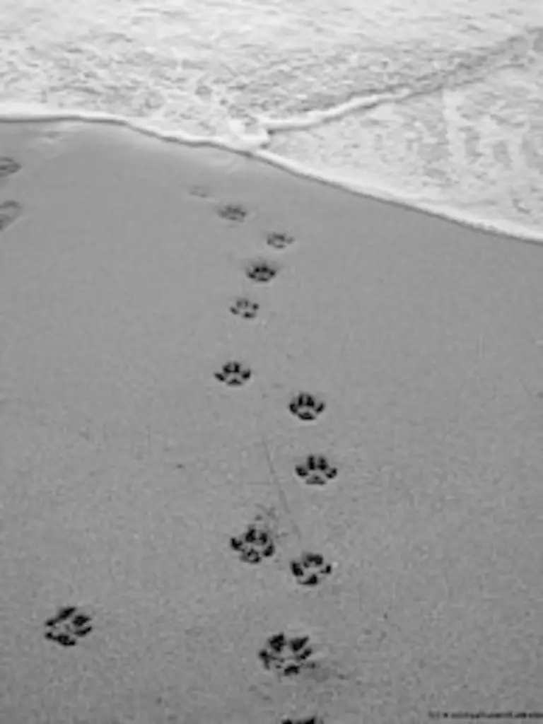 Andachtsbild von Andrea mit Max im Herzen 