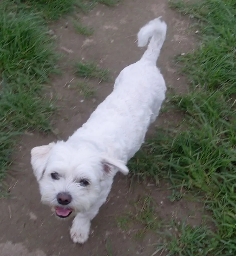 Andachtsbild von Günter mit Hanna im Herzen 