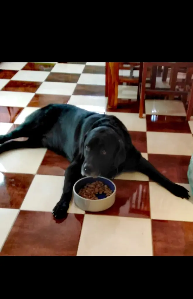 Image from Samson