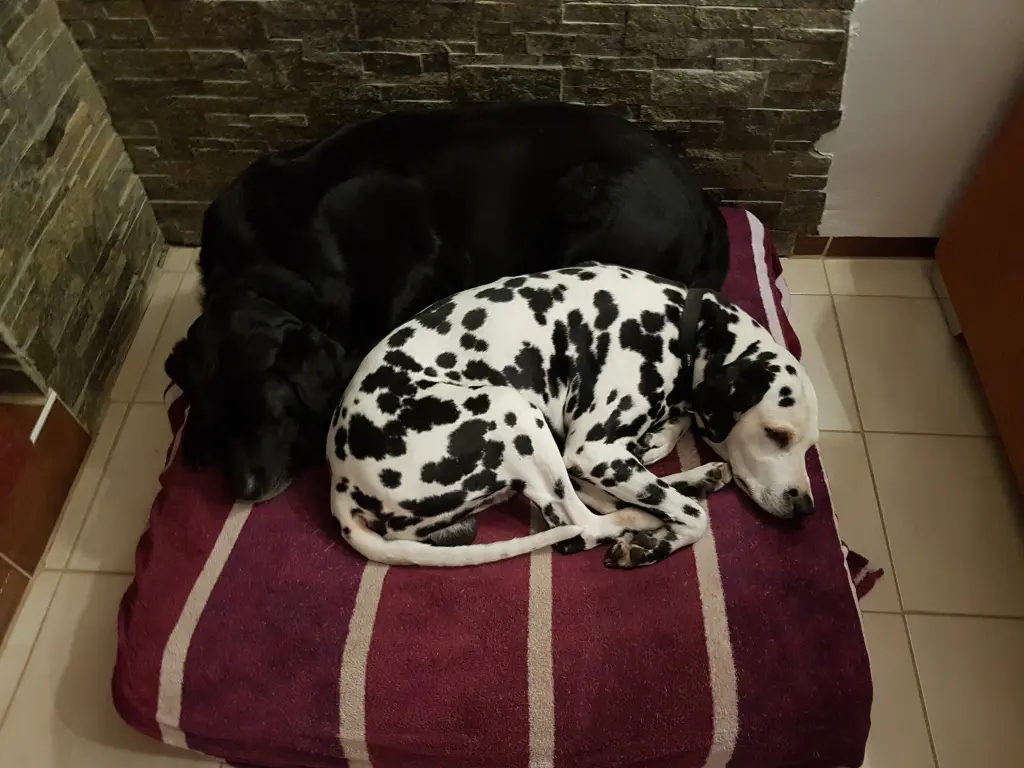 Image from Samson
