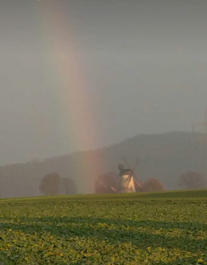 Condolence image of Dein Frauchen