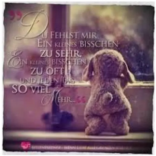 Condolence image of Dein Frauchen