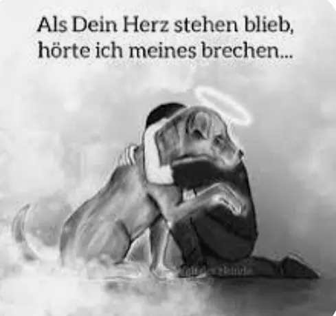 Condolence image of Dein Frauchen