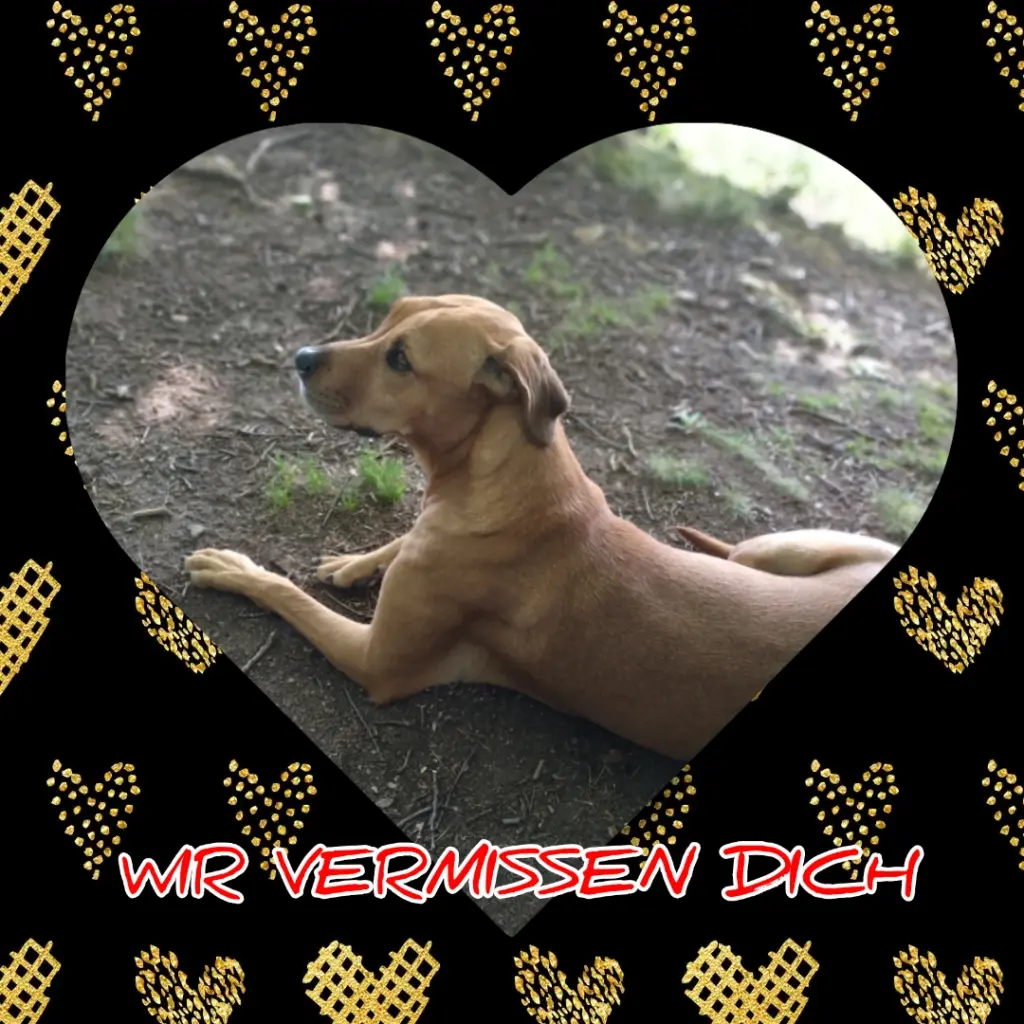Condolence image of Nadine 