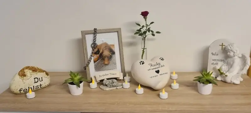 Condolence image of Gerd