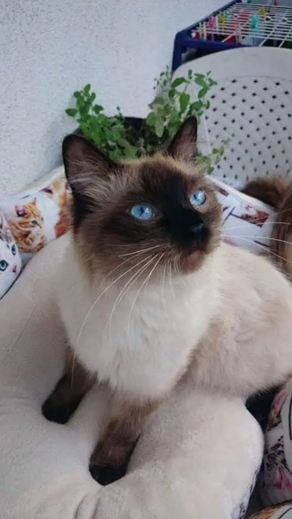 Condolence image of Helga 