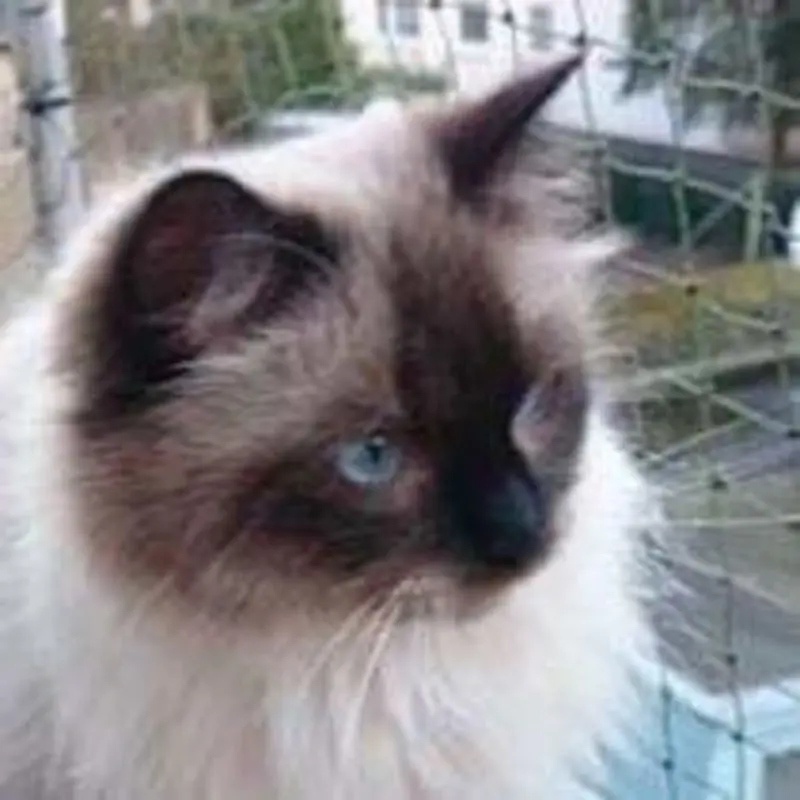 Condolence image of Helga 