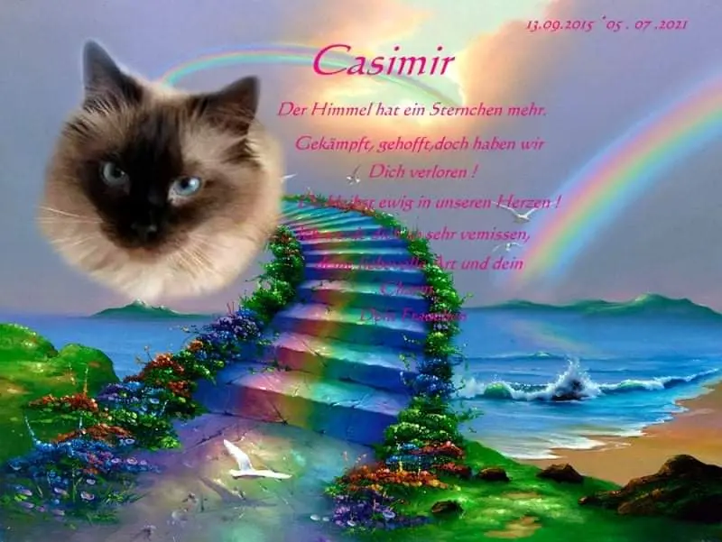 Image from Casimir