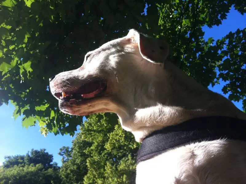 Image from Lola