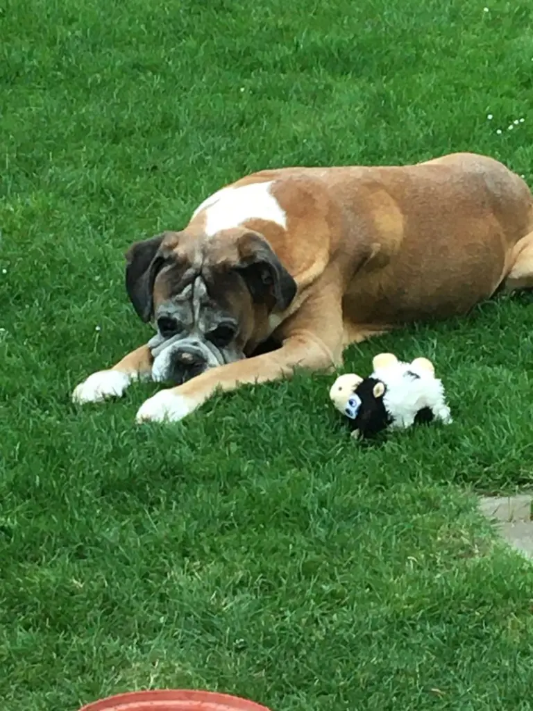 Condolence image of Sabine