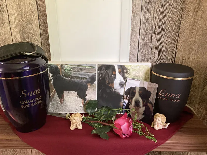 Condolence image of Daniela