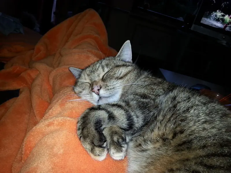 Andachtsbild von Daniela mit Pauline im ♥️