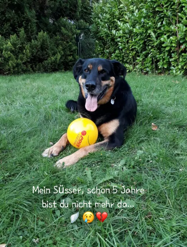 Condolence image of Marion + Günter