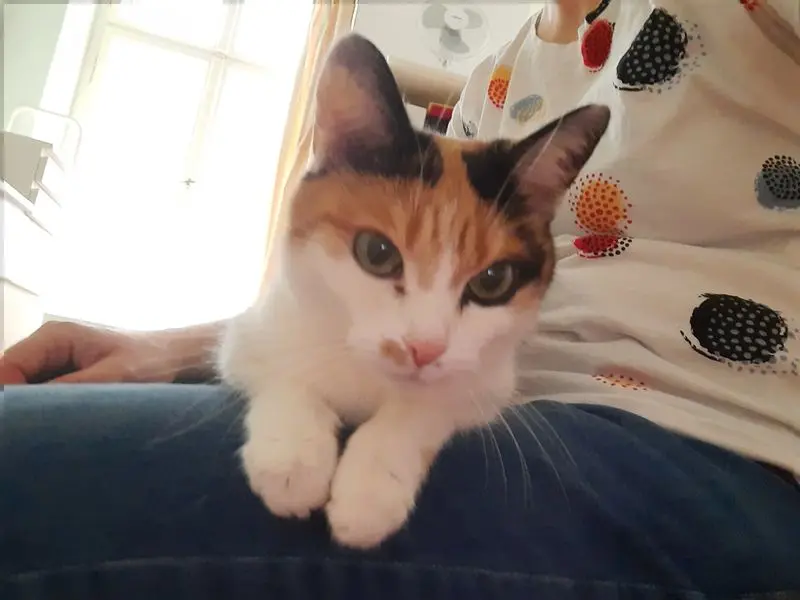 Andachtsbild von Carina Opitz