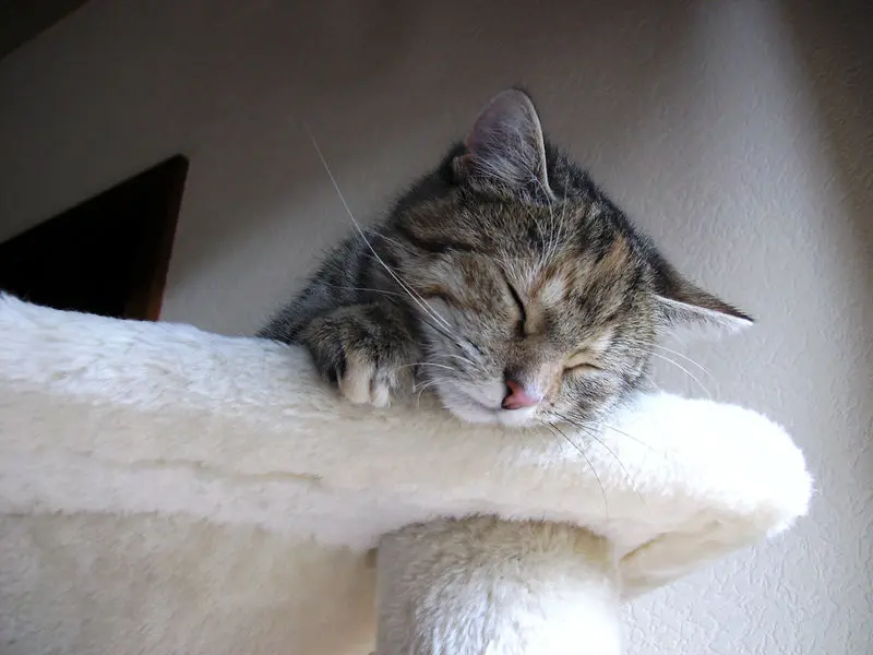 Condolence image of Daniela mit Pauline im ♥️