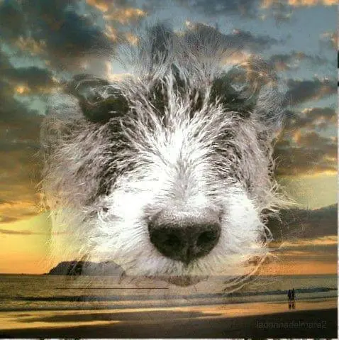 Image from Hoby