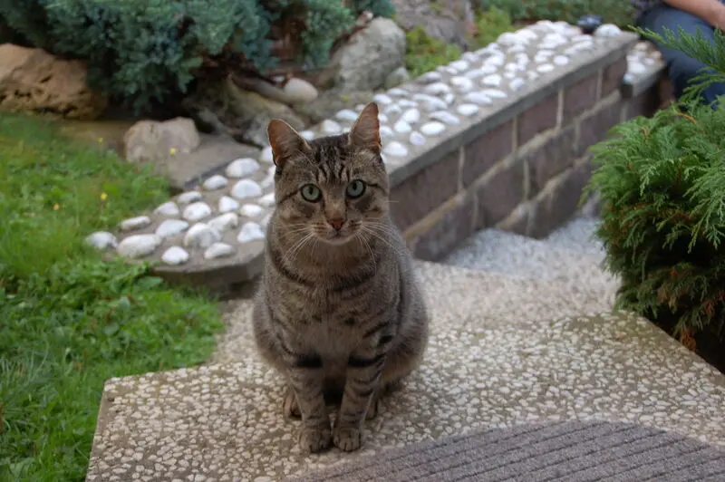 Condolence image of Dankeschön❤️