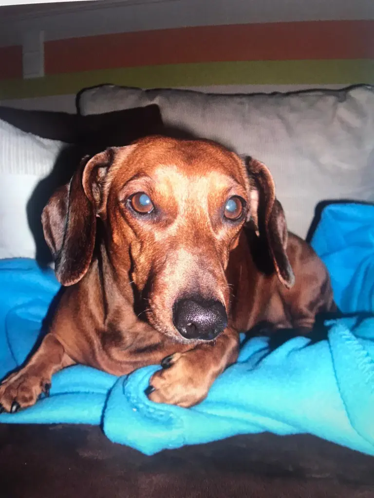 Condolence image of Antje  Kiessling 