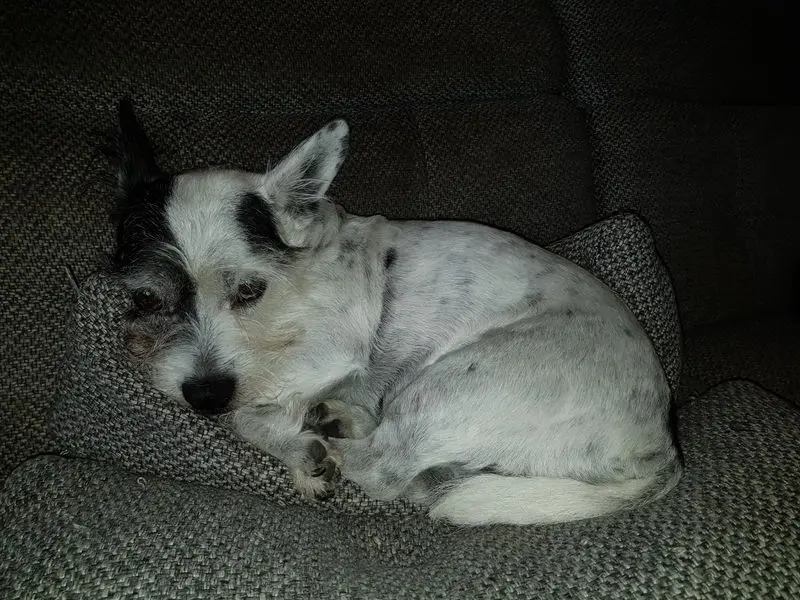 Condolence image of Christine