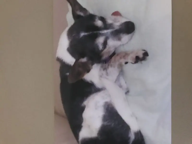 Condolence image of Annika