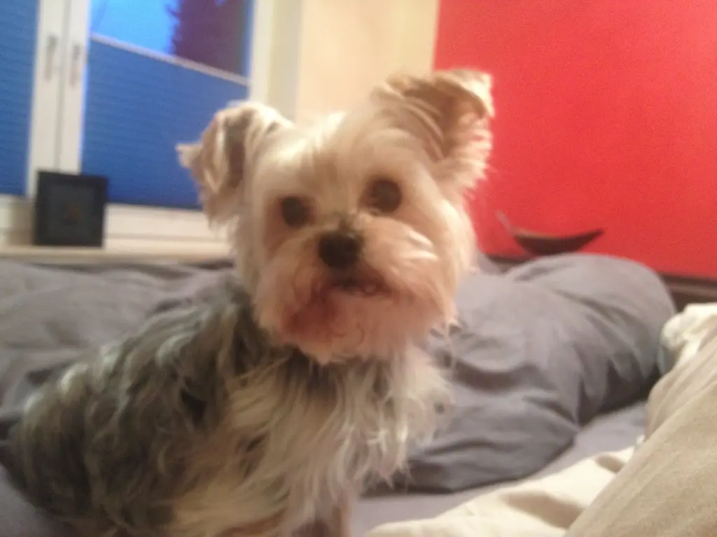 Image from Gianna