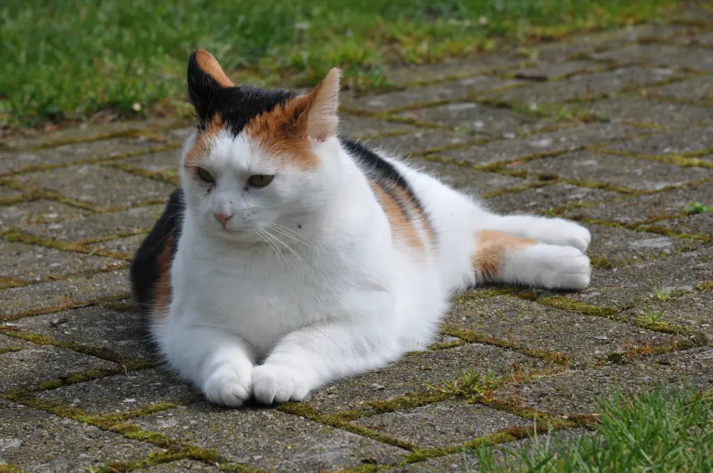 Condolence image of Unbekannt