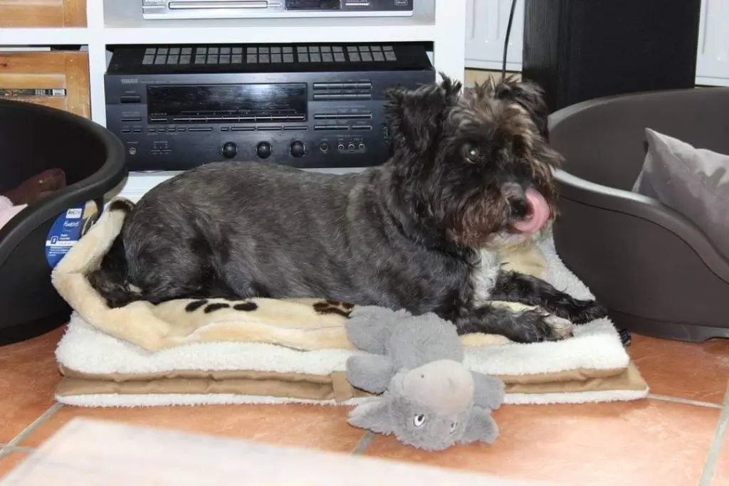 Andachtsbild von Christine