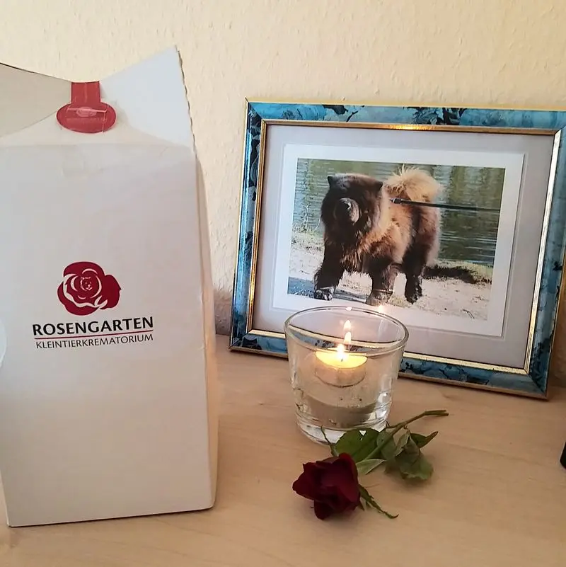 Condolence image of Sabine Claus