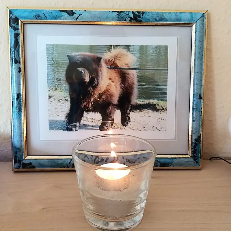 Condolence image of Sabine Claus