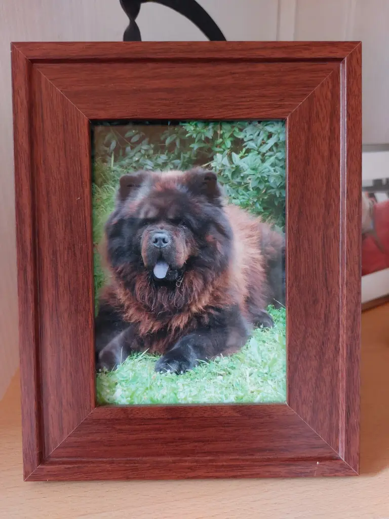 Condolence image of Sabine Claus