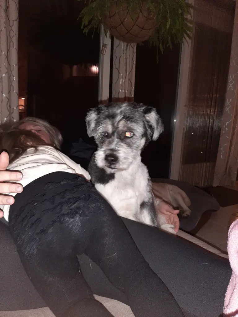 Image from Hotte