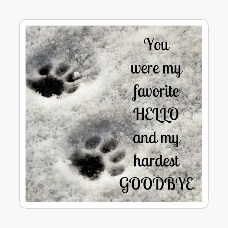 Condolence image of Susi
