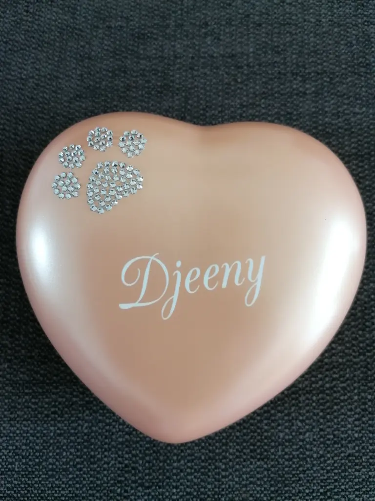 Image from Djeeny
