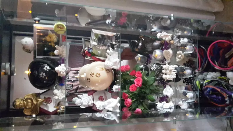 Condolence image of Gaby