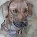 Condolence image of Britta