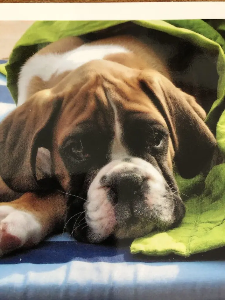 Condolence image of Sabine