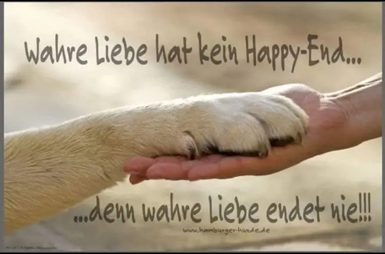 Condolence image of Sabine &Holger