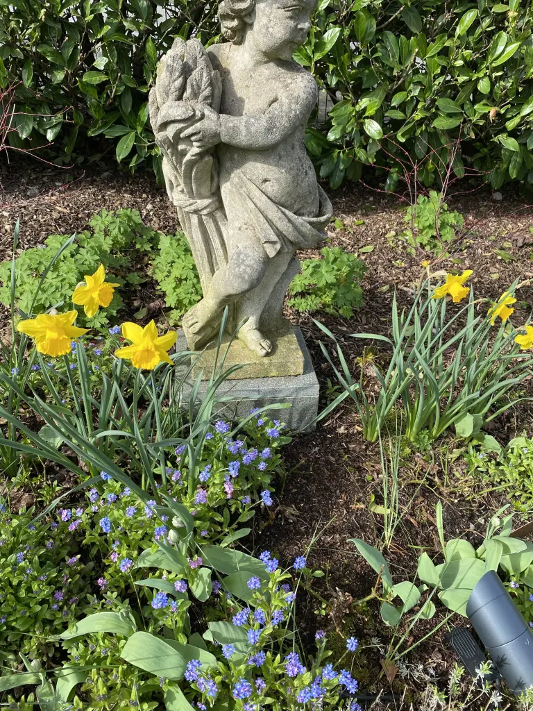 Condolence image of Sabine