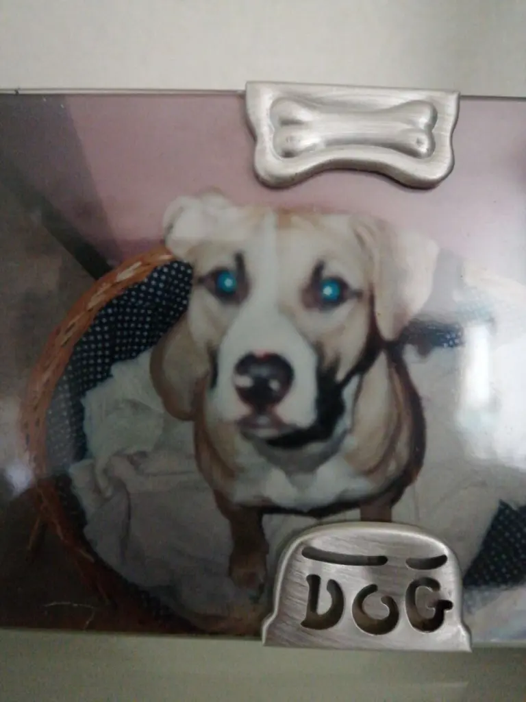 Condolence image of Vera