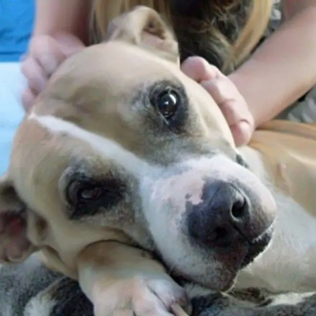 Condolence image of Vera