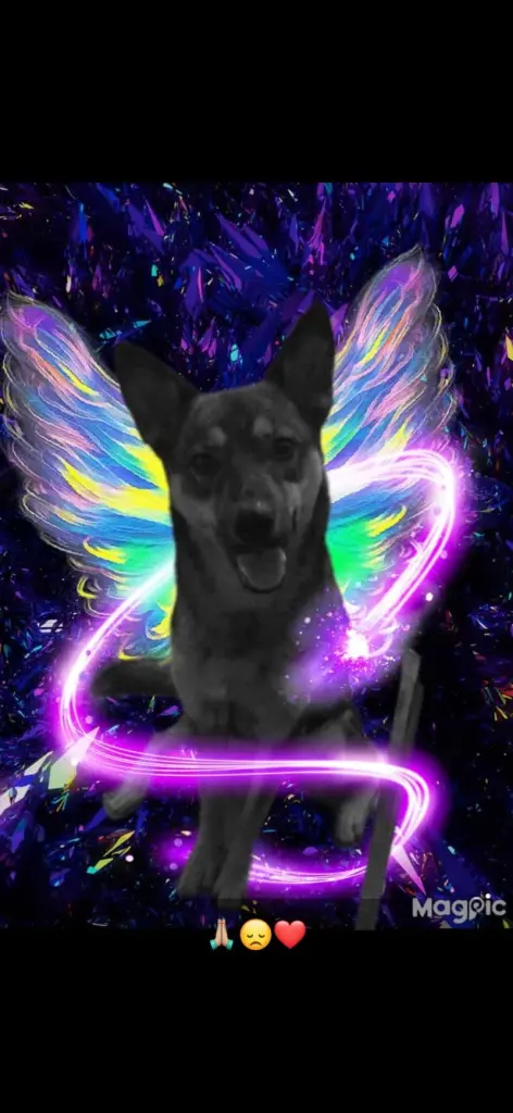 Condolence image of Katelyn