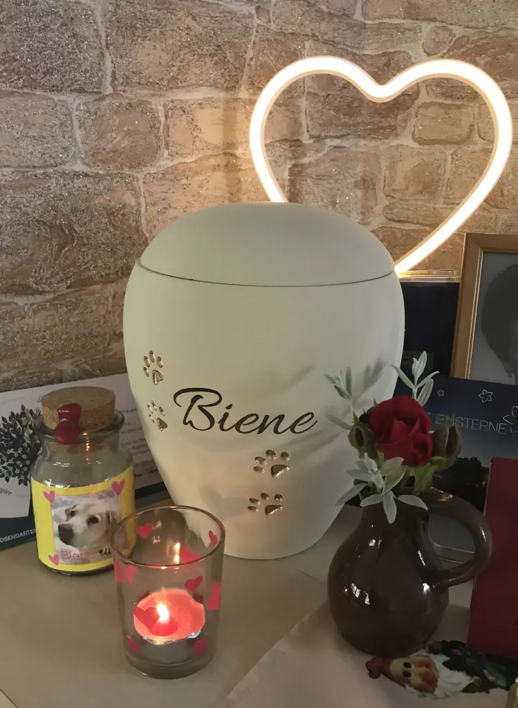 Image from Biene