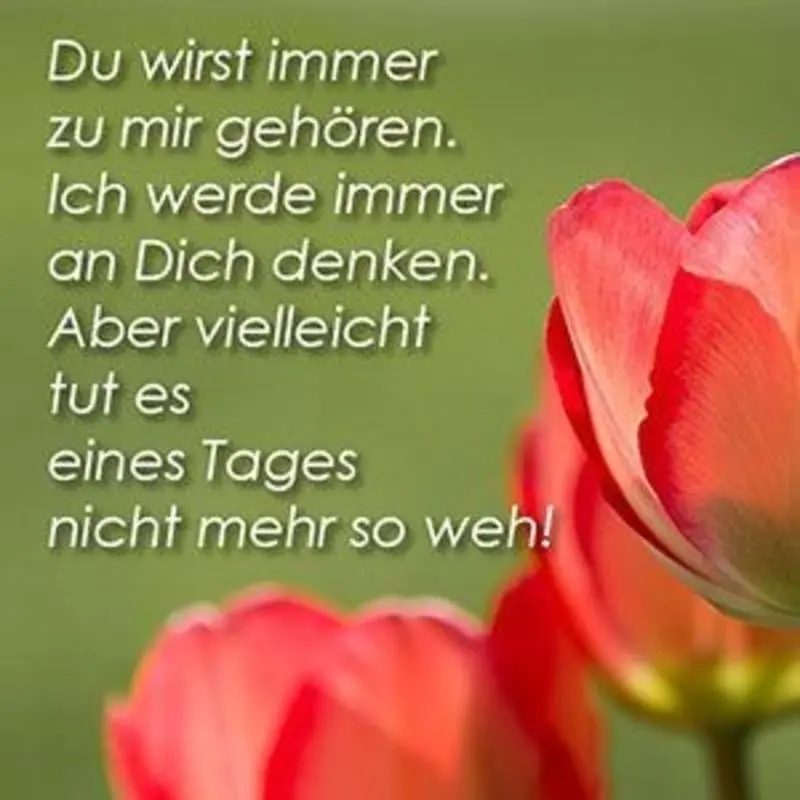 Andachtsbild von Andrea mit Minki im ❤