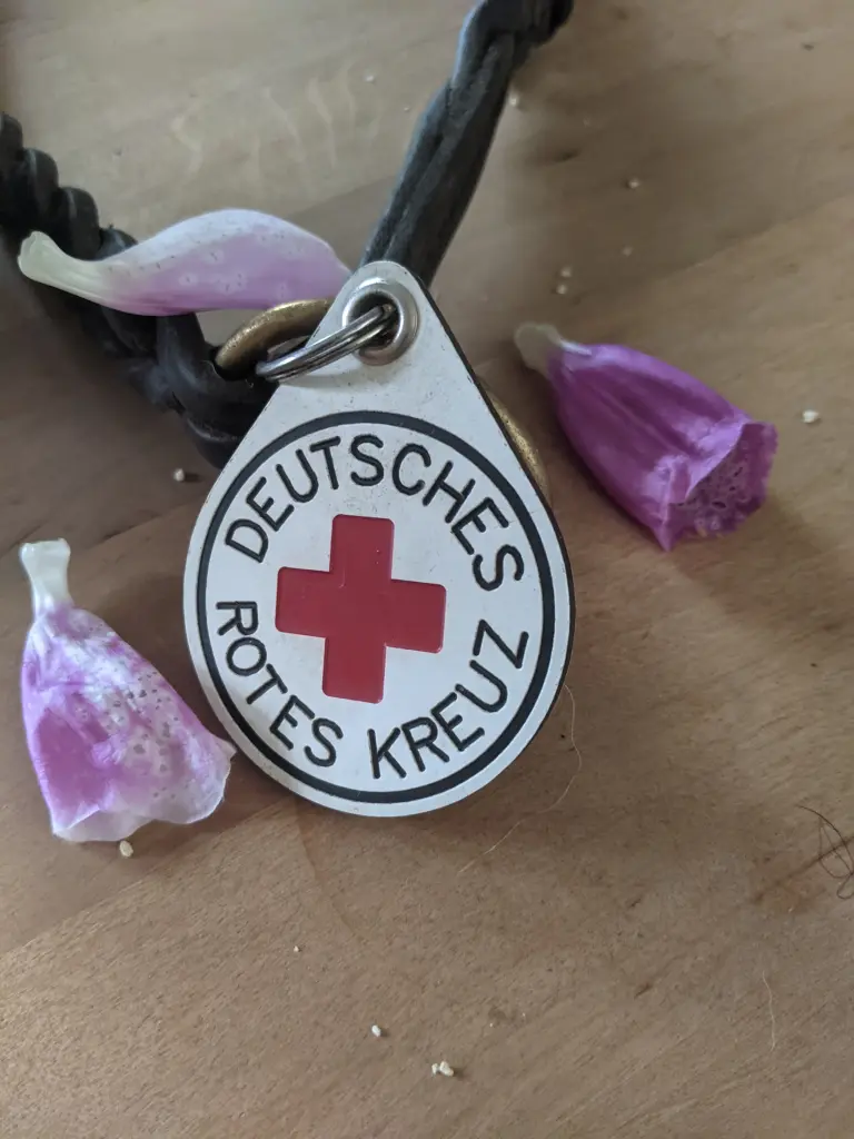 Bild von Bisou
